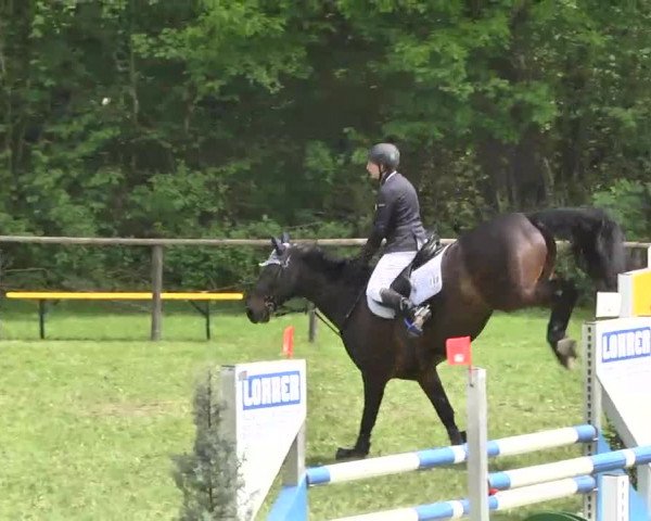 Reitturnier Jettingen 2016