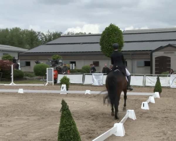 Reitturnier Frechen-Grefrath - Sonnenhof 2016
