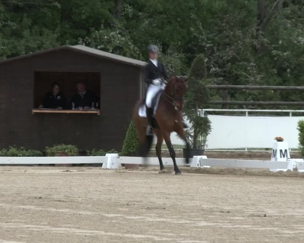 Reitturnier Frechen-Grefrath - Sonnenhof 2016