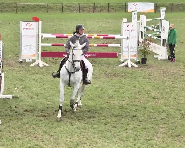 Reitturnier Jettingen 2016