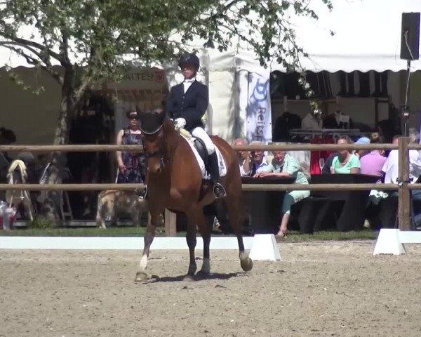 3. Holtkämper Dressurtage 2016