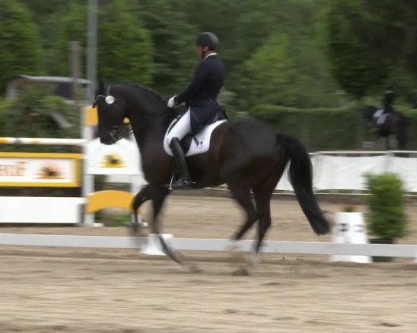 Reitturnier Frechen-Grefrath - Sonnenhof 2016