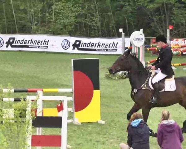 Reitturnier Jettingen 2016