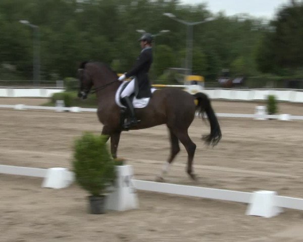 Reitturnier Frechen-Grefrath - Sonnenhof 2016