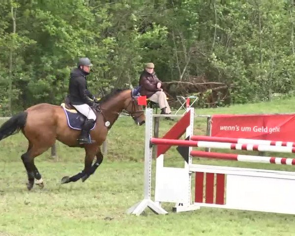 Reitturnier Jettingen 2016