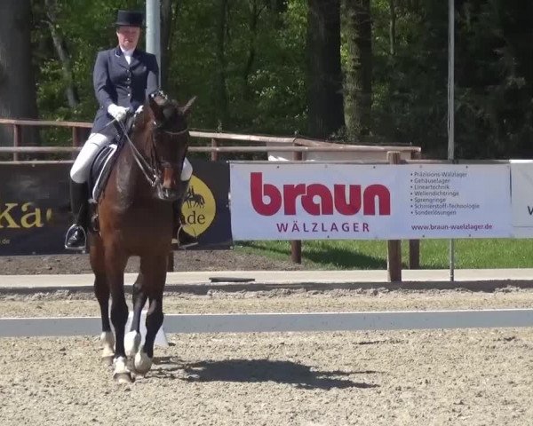 3. Holtkämper Dressurtage 2016