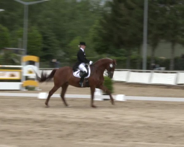 Reitturnier Frechen-Grefrath - Sonnenhof 2016
