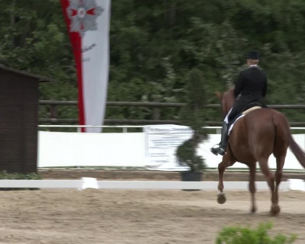 Reitturnier Frechen-Grefrath - Sonnenhof 2016
