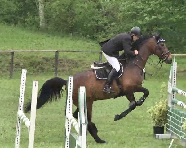 Reitturnier Jettingen 2016