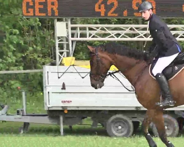 Reitturnier Jettingen 2016