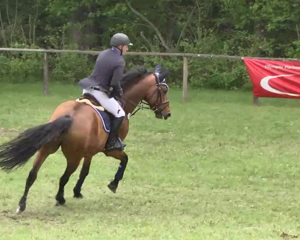 Reitturnier Jettingen 2016