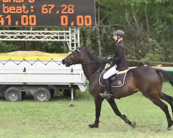 Reitturnier Jettingen 2016