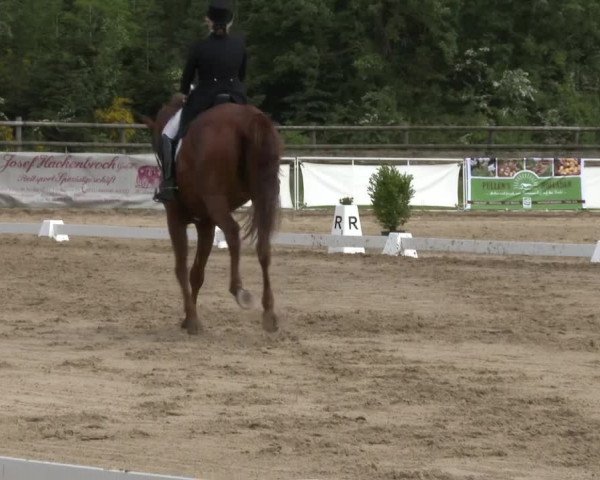 Reitturnier Frechen-Grefrath - Sonnenhof 2016