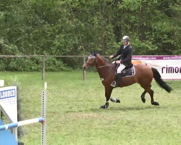 Reitturnier Jettingen 2016