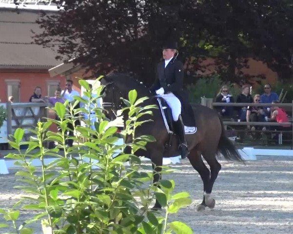 3. Holtkämper Dressurtage 2016