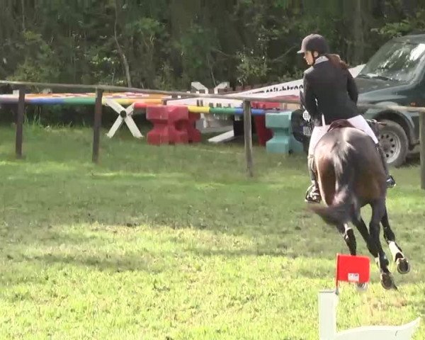 Reitturnier Jettingen 2016