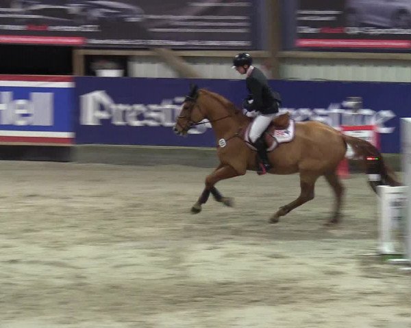 5. Nordic Jumping in Negernbötel 2021