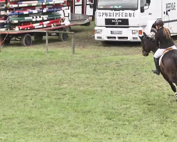 Reitturnier Jettingen 2016
