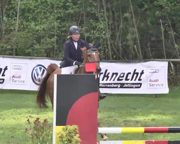 Reitturnier Jettingen 2016