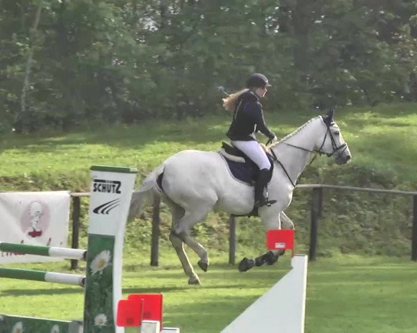 Reitturnier Jettingen 2016