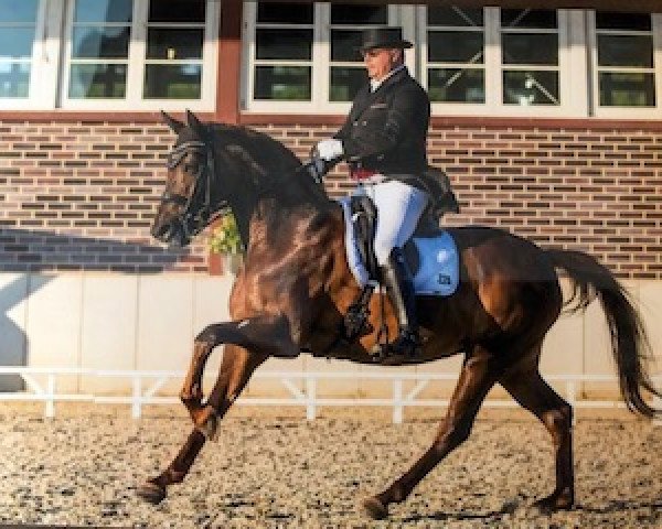 broodmare Fuerstin Fabriana (Rhinelander, 2005, from Fürst Piccolo)