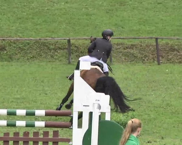 Reitturnier Jettingen 2016