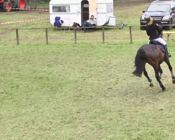 Reitturnier Jettingen 2016
