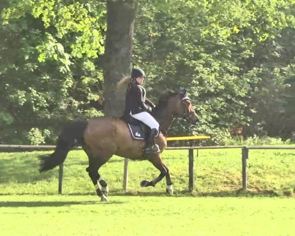 Reitturnier Jettingen 2016