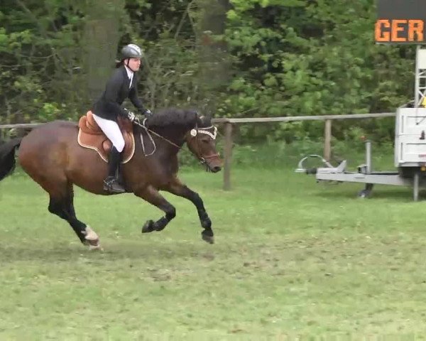 Reitturnier Jettingen 2016