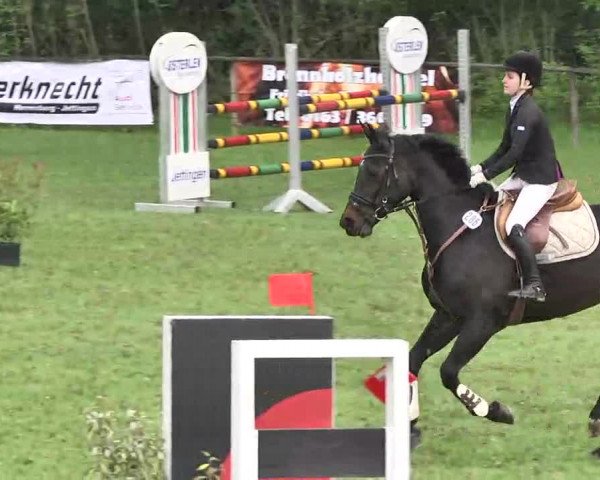Reitturnier Jettingen 2016