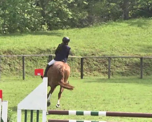 Reitturnier Jettingen 2016