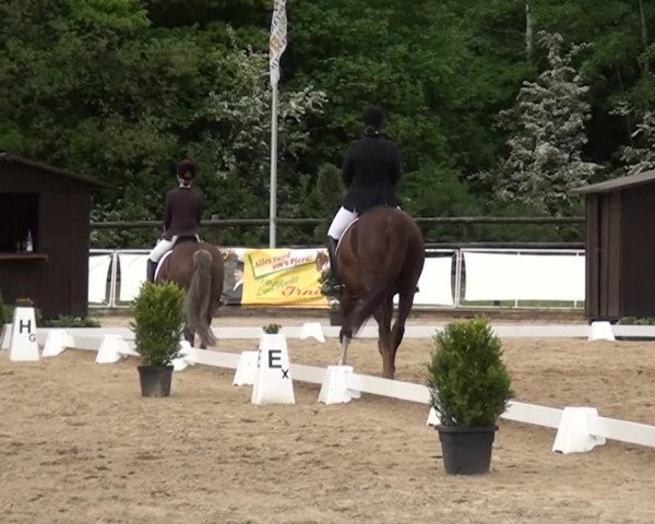 Reitturnier Frechen-Grefrath - Sonnenhof 2016