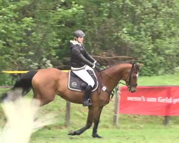 Reitturnier Jettingen 2016