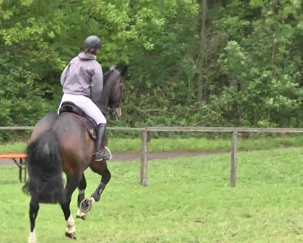 Reitturnier Jettingen 2016