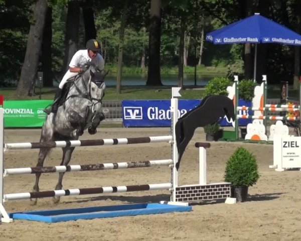 Reitturnier Mönchengladbach-Wickrath 2016