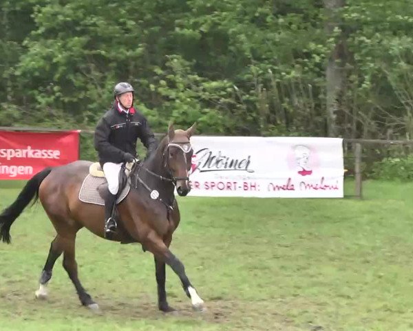 Reitturnier Jettingen 2016