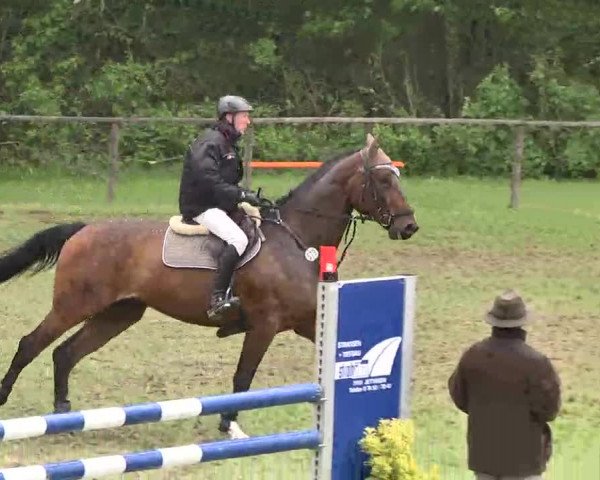 Reitturnier Jettingen 2016