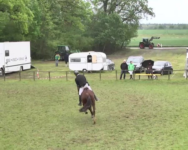 Reitturnier Jettingen 2016