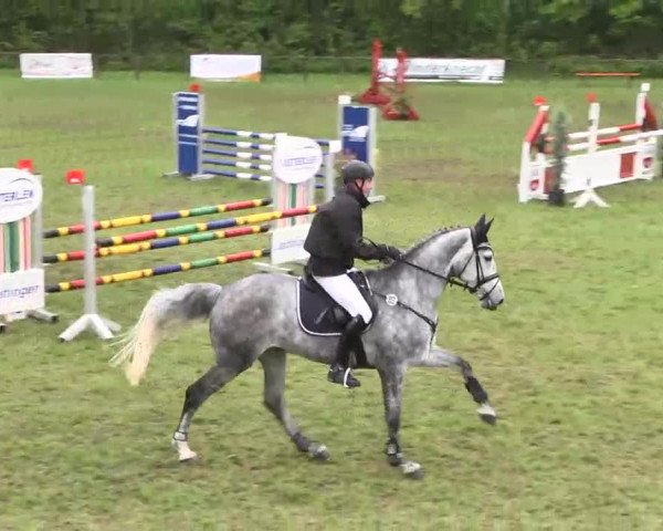 Reitturnier Jettingen 2016