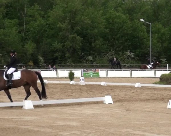 Reitturnier Frechen-Grefrath - Sonnenhof 2016