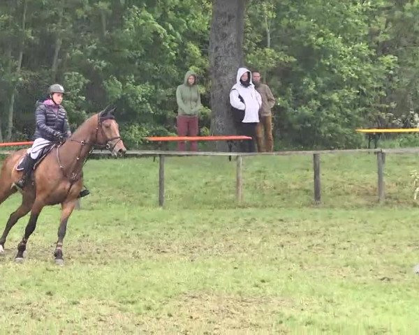 Reitturnier Jettingen 2016