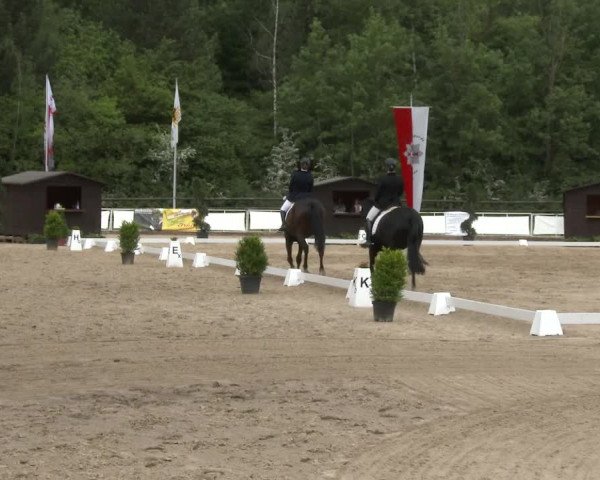 Reitturnier Frechen-Grefrath - Sonnenhof 2016