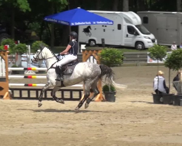 Reitturnier Mönchengladbach-Wickrath 2016
