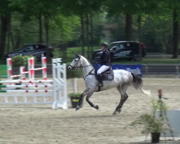 Reitturnier Mönchengladbach-Wickrath 2016