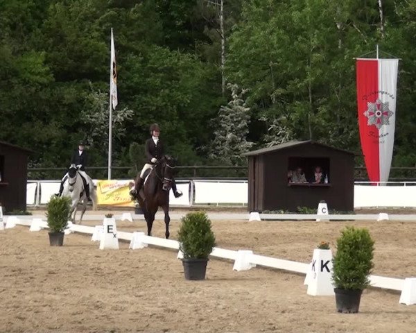 Reitturnier Frechen-Grefrath - Sonnenhof 2016