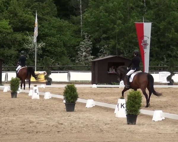 Reitturnier Frechen-Grefrath - Sonnenhof 2016