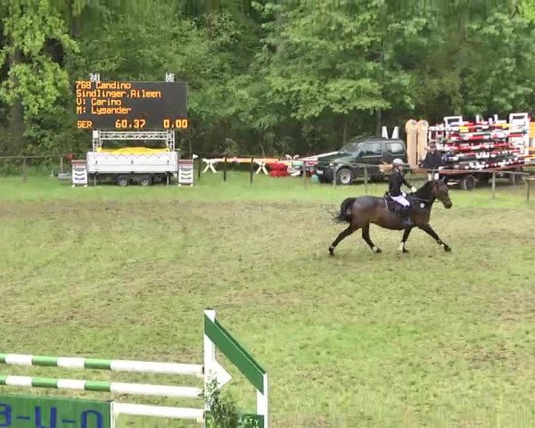 Reitturnier Jettingen 2016