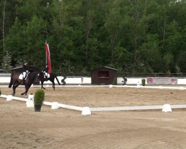 Reitturnier Frechen-Grefrath - Sonnenhof 2016