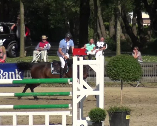 Reitturnier Mönchengladbach-Wickrath 2016