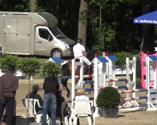 Reitturnier Mönchengladbach-Wickrath 2016